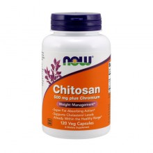 Now Chitosan 500 mg 120 caps