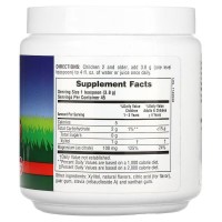 Nature's Plus AP Mag Kidz Powder — Детский магний в порошке, 172 г