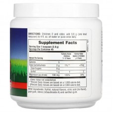 Nature's Plus AP Mag Kidz Powder — Дитячий магній у порошку, 172 г